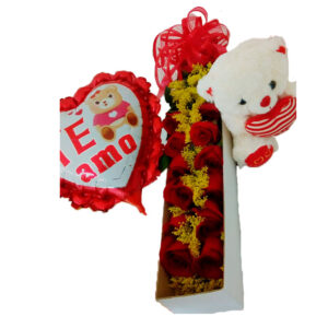 Ramo S027