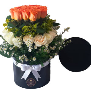 Ramo S041