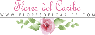 Flores del Caribe Santa Marta